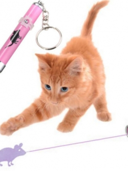 Laser Pointer หนู