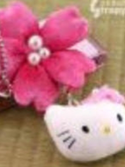 พวงกุญแจหัวคิตตี้