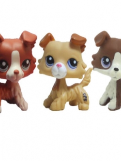 สุนัขคอลลี แพ็ค 3 ตัว (C)