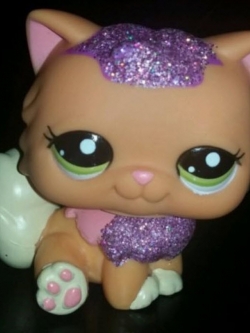 แมวเปอเซีย สีส้ม #2275 แต่งวิ๊งค์