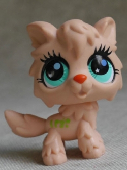 แมว สีน้ำตาล #2278 (หายาก)