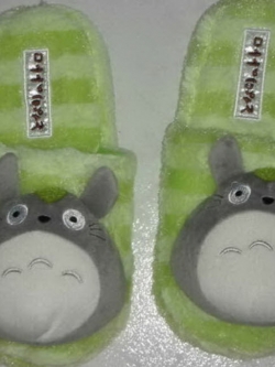 รองเท้าแตะ Totoro (A)