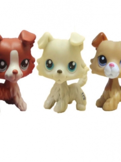 สุนัขคอลลี แพ็ค 3 ตัว (B)