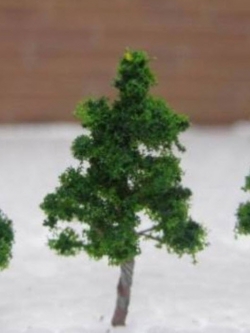 ต้นไม้จิ๋ว ขนาด 3.2 ซ.ม. 50 ต้น