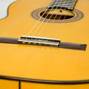 Flamenco Guitar กีต้าร์ฟลาเมนโก