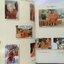 หลวงปู่บุดดา ถาวโร วัดกลางชูศรี จ.สิงห์บุรี (หนังสือชุด 4 เล่ม)