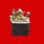 รูปหล่อลอยองค์พระพิฆเนศเนื้อกะไหล่ทองขนาดหน้าตักกว้าง1.2cm.สูง2.5cm.