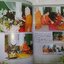 หนังสือชีวประวัติและปฏิปทา หลวงปู่อ่อน ญาณสิริ วัดป่านิโครธาราม อ.หนองวัวซอ จ.อุดรธานี