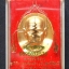 หลวงพ่อเงิน รุ่น พระพิจิตร กะไหล่ทอง ปี42-43