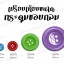 กระดุม 50/4 50มม. ขอบกลม (144 เม็ด) SKU-15595