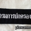 อาร์มผ้าติดตีนตุ๊กแก
