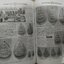 หนังสือประวัติและพระเครื่อง หลวงปู่ไข่ วัดเชิงเลน กรุงเทพฯ