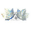 เลื่อมใบเมเปิ้ลดิสโก้ 22มม. (80 กรัม) SKU-08067