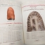 หนังสือ"เพชรน้ำเอกแห่งหริภุญไชย" ชี้ตำหนิพระรอด