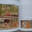 หนังสืออนุสรณ์งานพระราชทานเพลิงสรีระสังขาร หลวงปู่เจี๊ยะ จุนโท พระผู้เป็นดั่งผ้าขี้ริ้วห่อทอง (ฉบับสมบูรณ์)